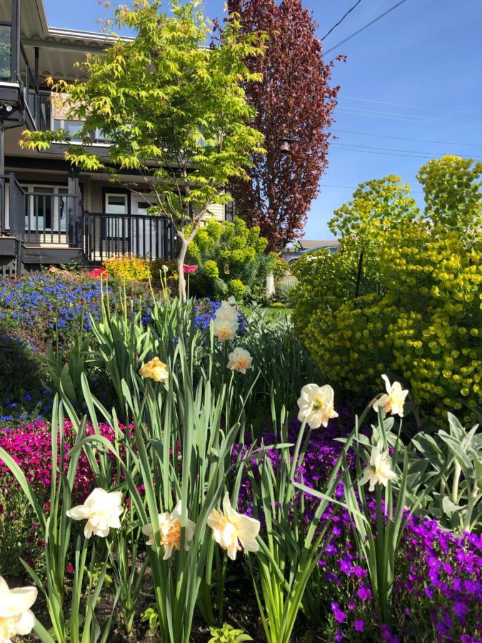 Lovely J Home -Stunning River View Cozy Two Bedroom Private Suite New Westminster Dış mekan fotoğraf